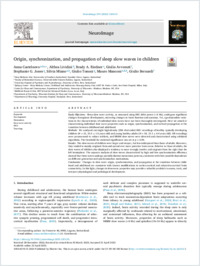 Castelnovo_2023_Elsevier_NeuroImage_Origin, synchronization